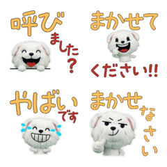 Polite Great Pyrenees  11