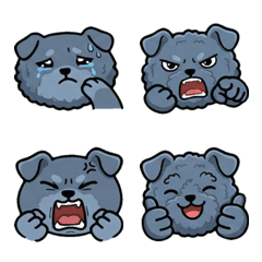 Round Face Kerry Blue Terrier 19