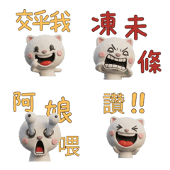 Taiwanese Persian Cat  39