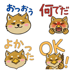 Moving Round Face Brussels Griffon 22