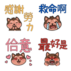 Taiwanese Chimpanzee 37