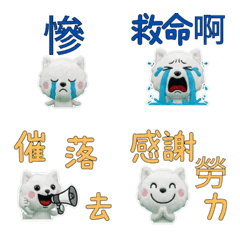 Taiwanese Kishu Ken  33