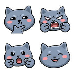 Moving Round Face Korat Cat 20