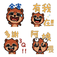 Taiwanese Coati  32nd