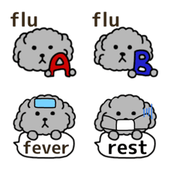 Poor physical condition of the poodle.