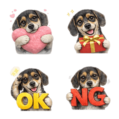 Smooth Dachshund Black Tan