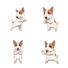 불테리어 화나서 흐릿해진 독불장군 CEO