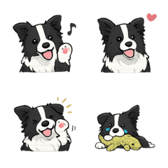 Border Collie | Daily Mood Dog Emoji