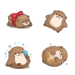 Chubby Series - Otter B2
