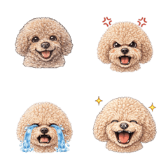 Toy Poodle no Kimochi Emoji