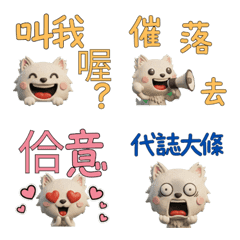 Taiwanese Chantilly-Tiffany  39