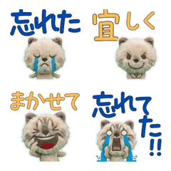 Plush Ragamuffin  9th