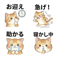 Working Mom Cat Emoji