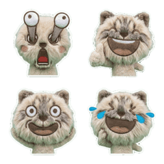 Plush Ragamuffin  7th