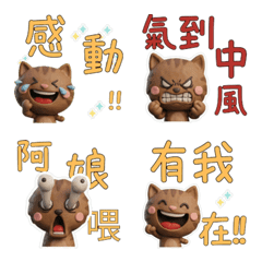 Moving Taiwanese Tabby Cat  40