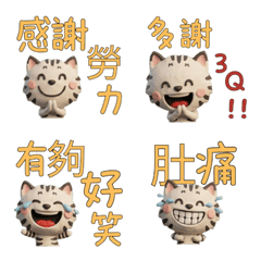 แมวลายคลาสสิก ภาษาไต้หวัน  39