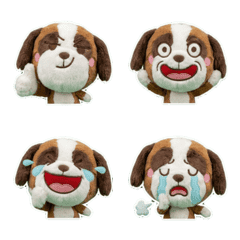 Moving Saint Bernard  8th