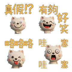 แมวทอยบ็อบ ไต้หวัน ขยับ  40