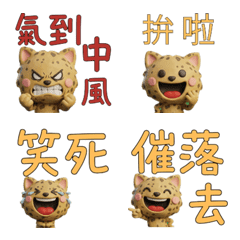 แมวโอโจส อะซูเลส ไต้หวัน ขยับ  40