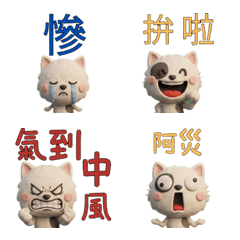 แมวสองสี ไต้หวัน ขยับ  40