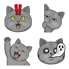 PUDDING of KUMAJI FRIEND 2