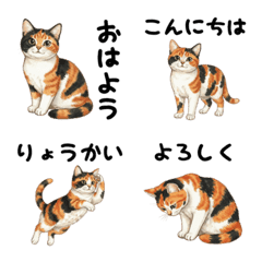 CAT  GOOD  Emoji80