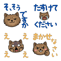 Polite Cairn Terrier 23