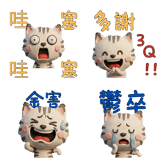 แมวเฉด ภาษาไต้หวัน  39