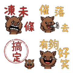 Taiwanese Wild Boar  31st