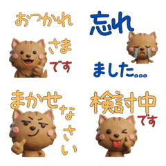 Polite 3D Cinnamon Cat  29