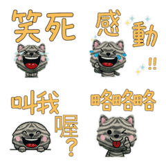 Moving Taiwanese Amesho 34