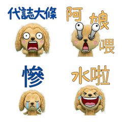 Moving Taiwanese Afghan 34