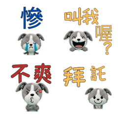 Moving Taiwanese Greyhound 34