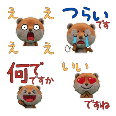 โคอาติ สุภาพ 11