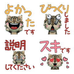 Moving Polite Amebob 12