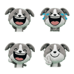 Moving Italian Greyhound 8th