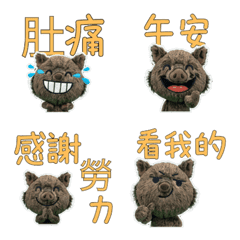 Moving Taiwanese Wild Boar 34