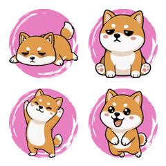 柴犬の日常の表情（ピンク）