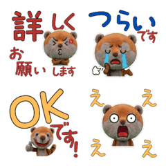 Moving Polite Coati 12