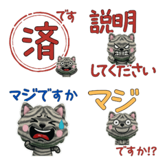 Moving Polite Amesho 12