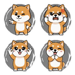 ชีวิตประจำวันของสุนัขชิบะอินุ (สีดำ)