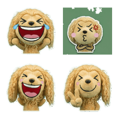 Moving Afghan Hound  8th