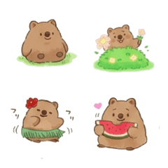 Chubby Series - Short-tailed kangaroo B2