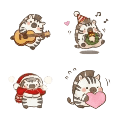 Chubby Series - Zebra B2