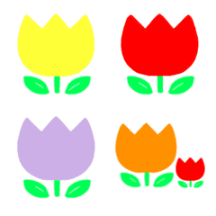Tulips in various colors