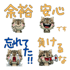 Plush American Bobtail 9th