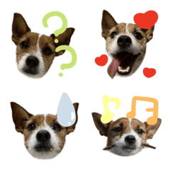 pjadnwtqgdmtpgantpva