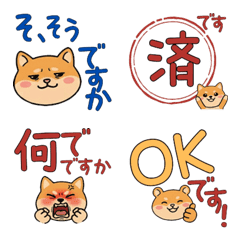 Polite Round Face Golden Hamster 23