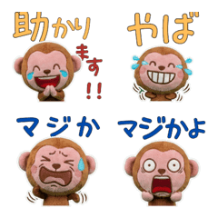 Plush Rhesus Macaque  9th