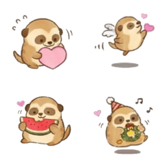 Chubby Series - Aeerkats B2